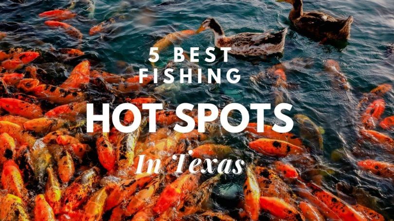 [5 best] fishing hot spots in texas