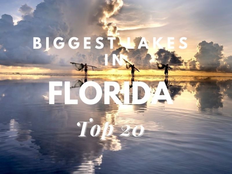 Biggest Lakes in Florida [Top 20]