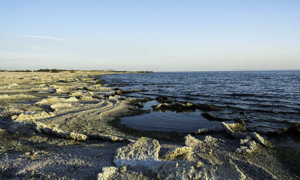 Salton Sea - a shallow, landlocked, highly-saline body of water