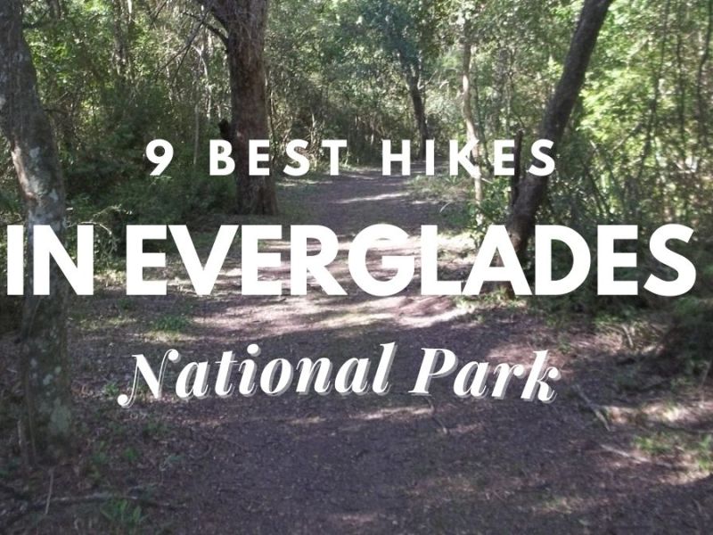 [9 Best] Hikes In Everglades National Park