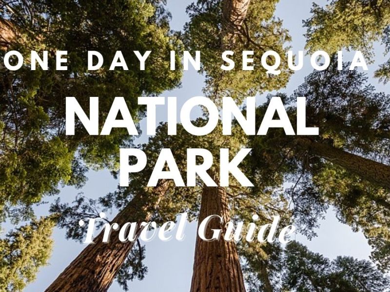 [One Day] In Sequoia National Park Travel Guide