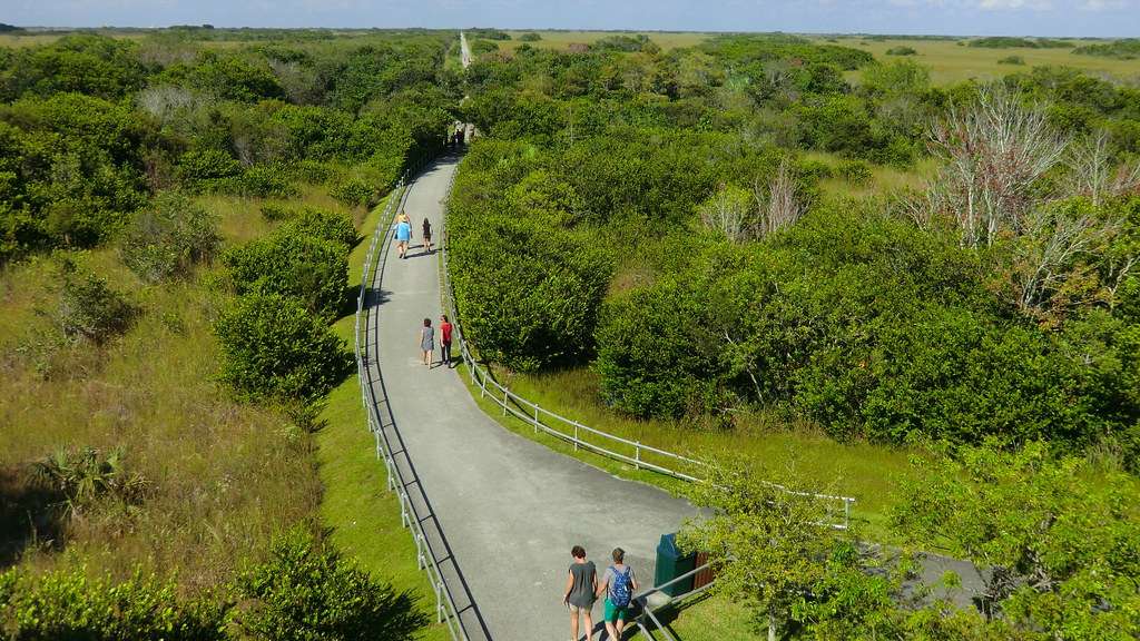 How to get to the Everglades National Park
